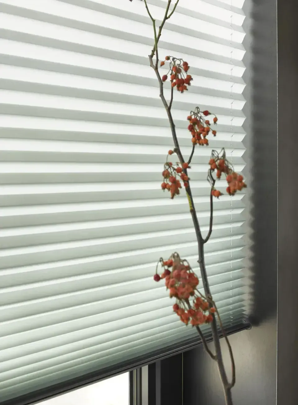 Plissees, Jalousien & Lamellen